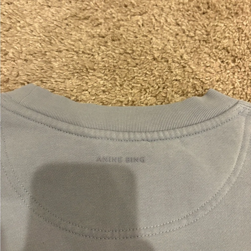 Anine Bing Sweatshirt - Picture 5 of 5